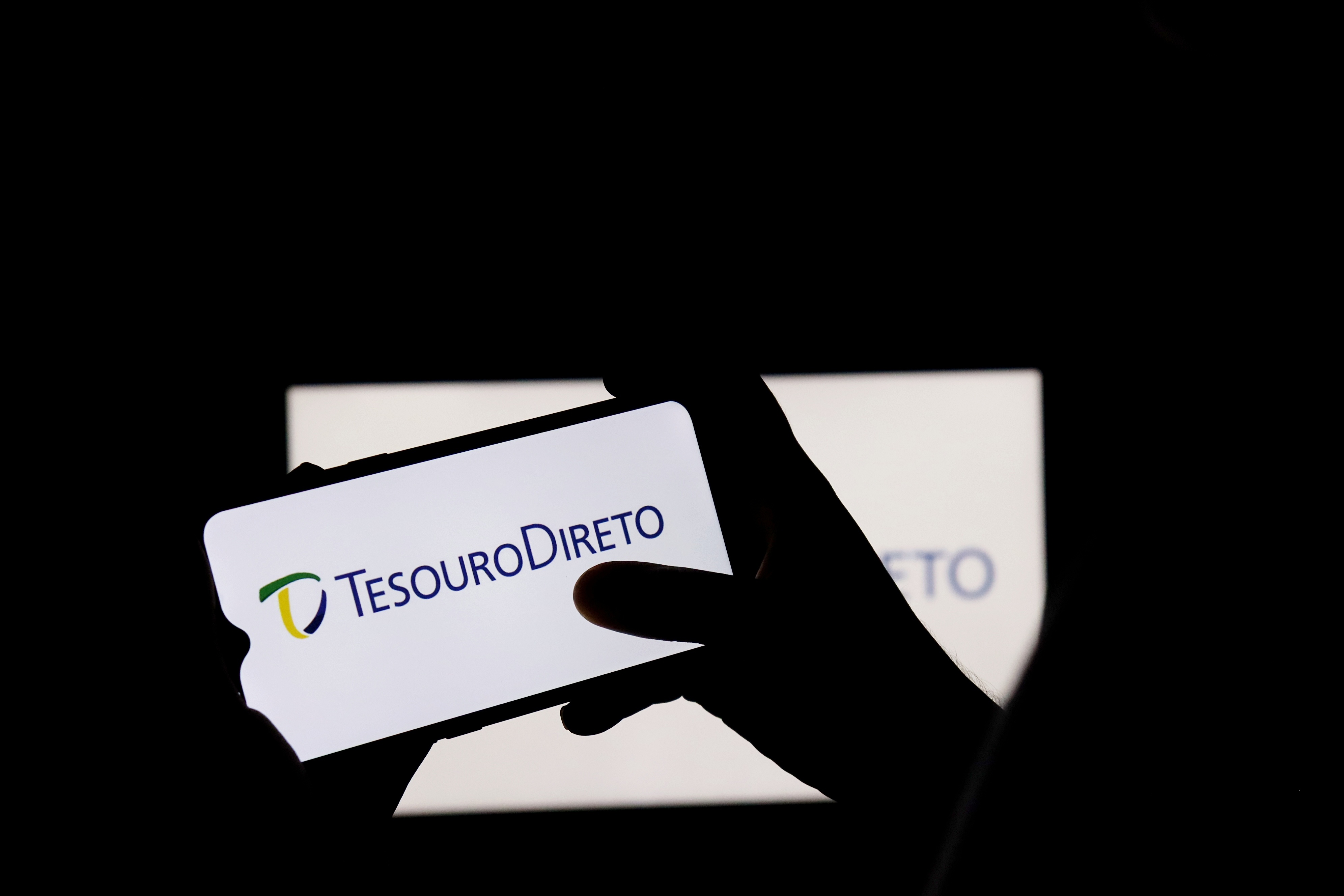 Tesouro Direto entenda o que é o título do governo federal Radar da