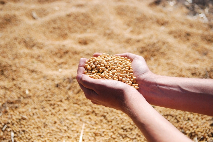 BRF investe R$ 10 milhões para avançar na rastreabilidade de grãos