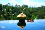 Férias, óculos de sol, piscina de borda infinita e água de coco (Foto: Evanto Elements)