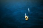 Bitcoin as a bait. Blockchain cryptocurrency trap. Free money concept. Bitcoin on the hook. Copy space.