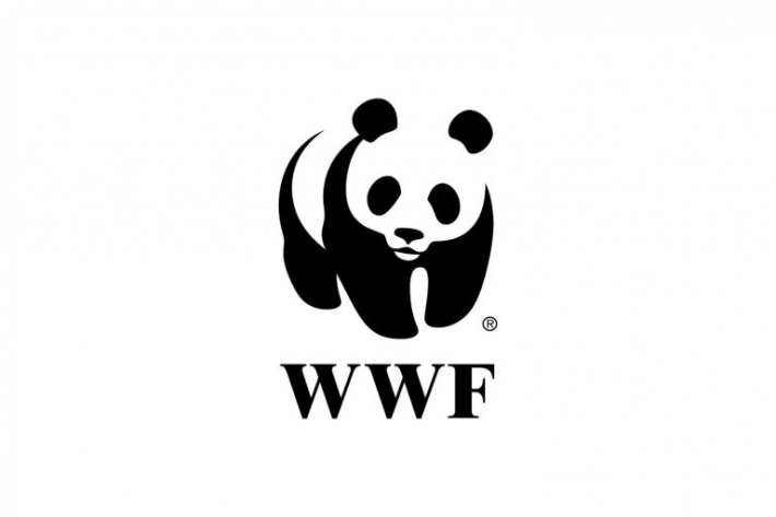 Após críticas de ambientalistas, WWF suspende vendas de NFTs
