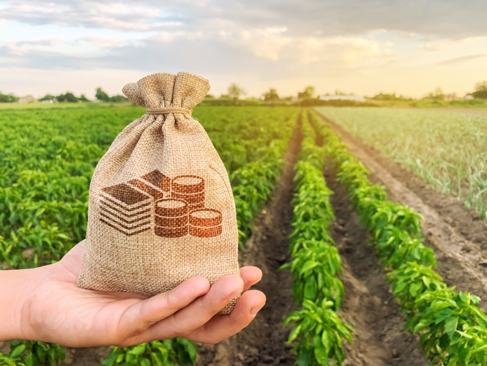 5 dicas de como investir no agronegócio e ganhar da inflação