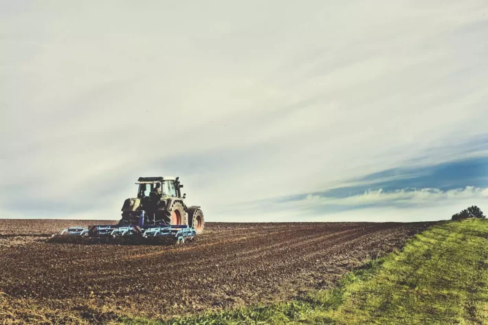 Verão pode afetar o setor agro no Brasil? Veja as ações recomendadas