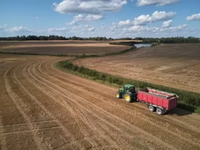 Após a fusão da Budge com a Viterra, quem será o CEO?