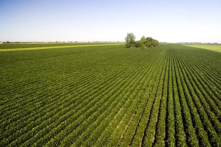 Fiagros tiveram em abril a maior capta&ccedil;&atilde;o l&iacute;quida mensal de 2023 (Foto: Envato Elements)