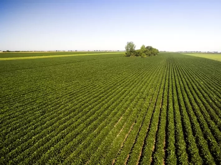 Fiagros: fundos agro entram em destaque e captação mensal dispara