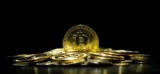 ETPs de Bitcoin estão atraindo investimentos, diz pesquisa. Foto: Envato Elements