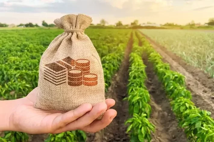 Títulos do agronegócio atingem marca de R$ 1 trilhão em agosto; veja os destaques