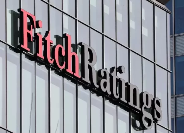 Fitch revela rating da Celesc (CLSC4); veja comunicado. (Foto: REUTERS/Reinhard Krause)