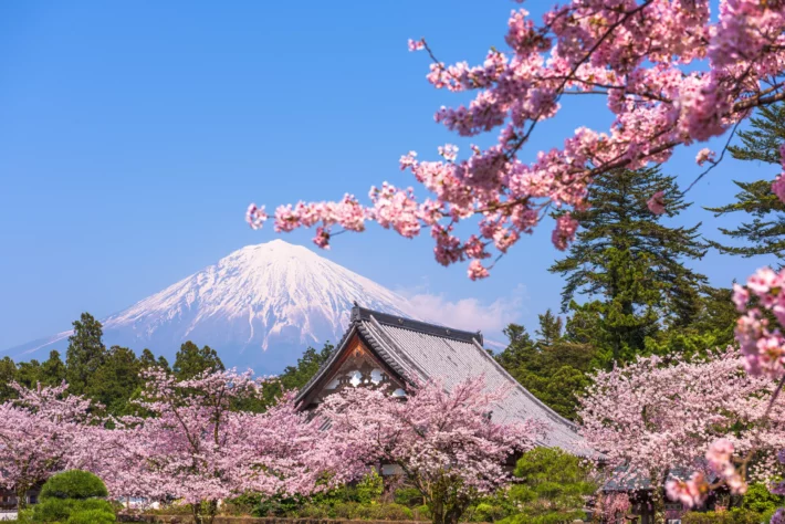 Negociação de iene sobe 167% em outubro com incentivo para turismo brasileiro no Japão