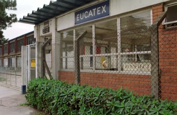 Eucatex (EUCA4) aprova  pagamento de JCP; saiba valor