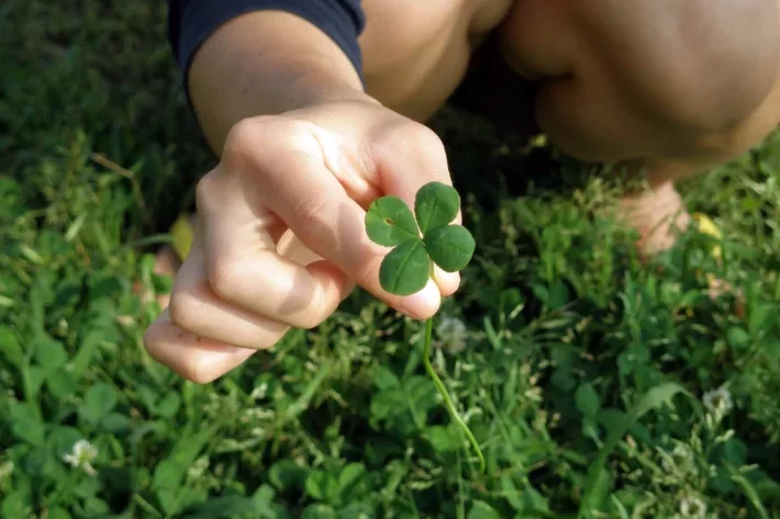 +Milion&aacute;ria: quem pode participar do sorteio de R$ 111 milh&otilde;es. Foto: Envato Elements