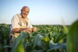 Imagem mostra agricultor sênior sorrindo em meio a uma plantação.
