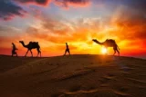 Imagem mostra fila de homens e camelos contra a luz do pôr do Sol.