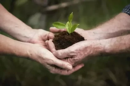 Brasil anuncia R$ 15 bilhões em parcerias com BID e Banco Mundial para financiar projetos de baixo carbono