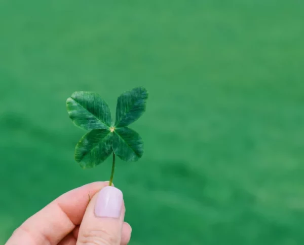 Dupla Sena sorteia hoje R$ 3,5 milhões; veja que horas. Foto: Envato Elements