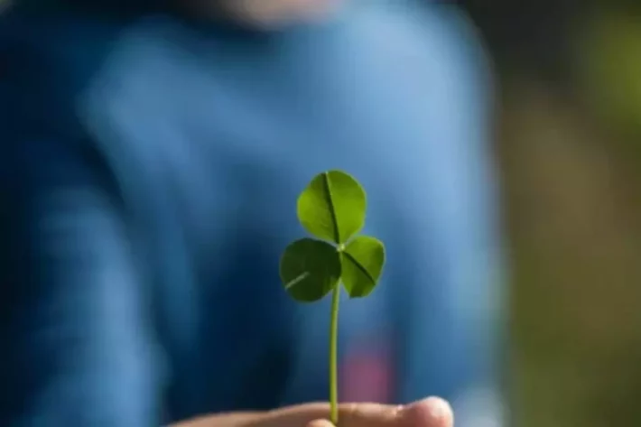 Dia de Sorte: veja os números do sorteio desta quinta-feira (16)