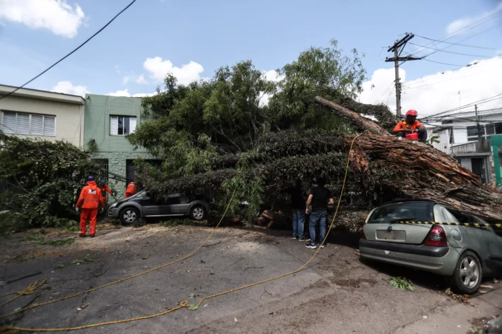 Procon notifica Enel por fornecimento de energia em SP; veja o que muda