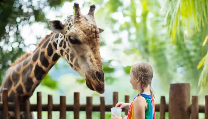 Quanto custa visitar o Zoológico de São Paulo? Em outubro, criança não paga