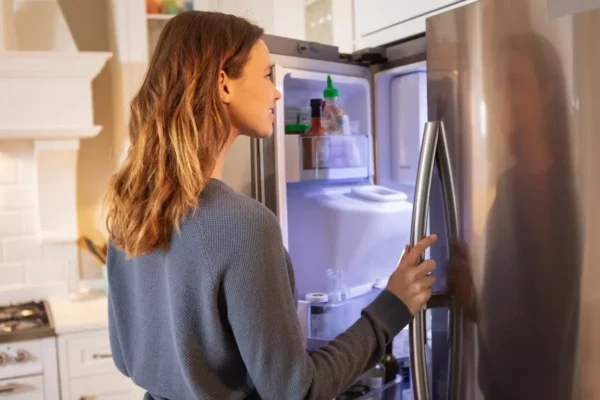 Quanto minha geladeira aumenta a conta de luz?