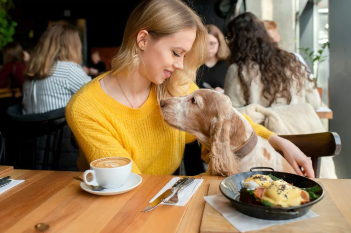 6 restaurantes com menu pet em São Paulo e seus valores por refeição