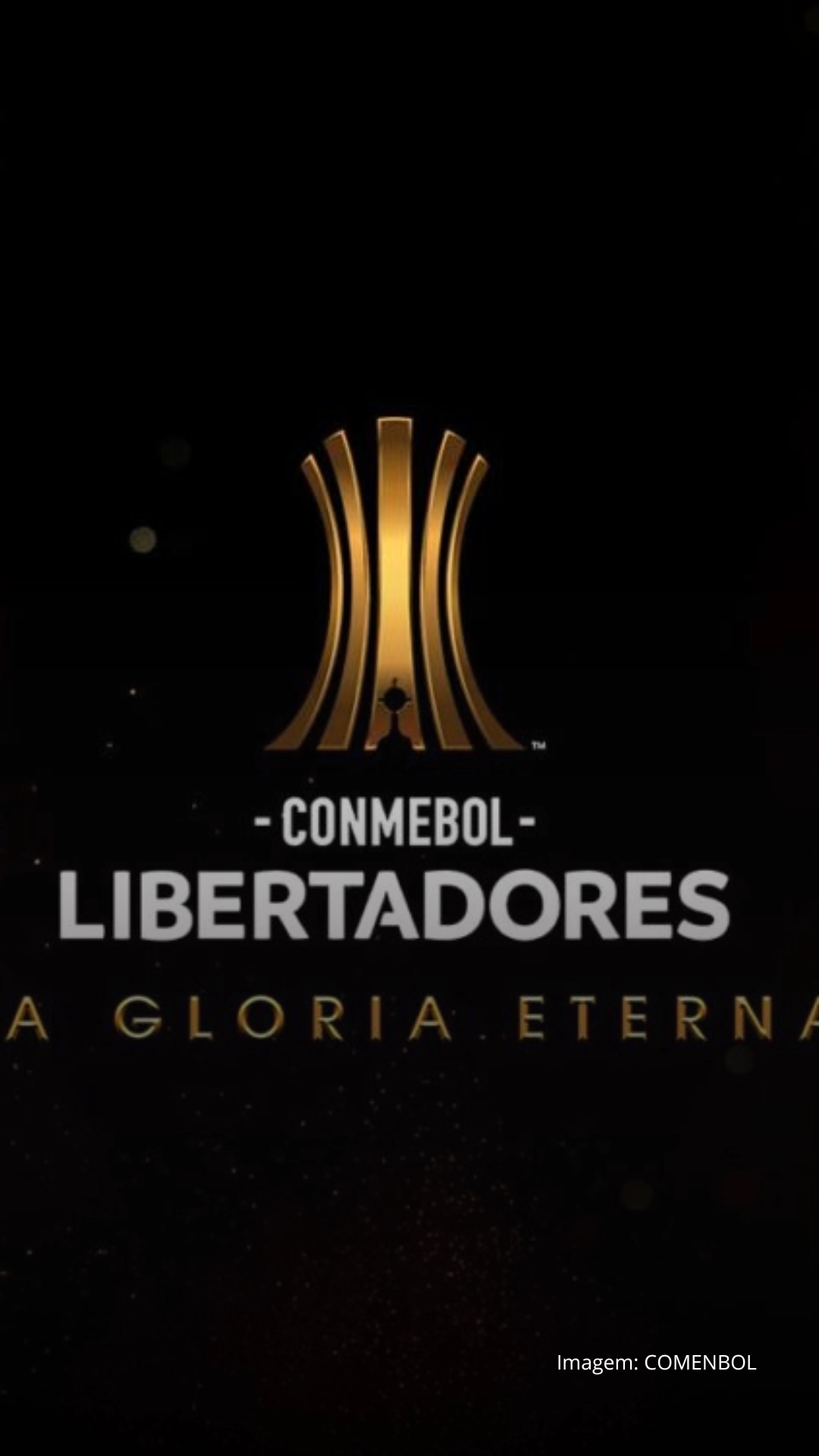 Imagem principal sobre o Libertadores 2025: qual o valor da premiação por cada fase?