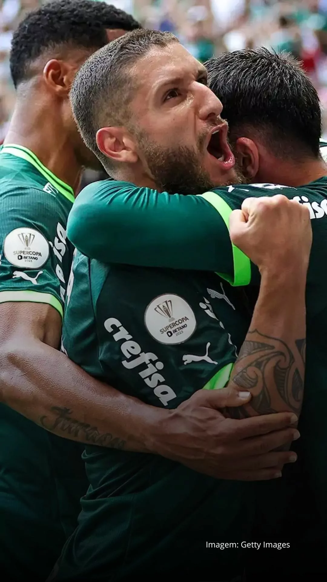 Imagem principal sobre o Mirassol x Palmeiras: quanto custa o ingresso do jogo?