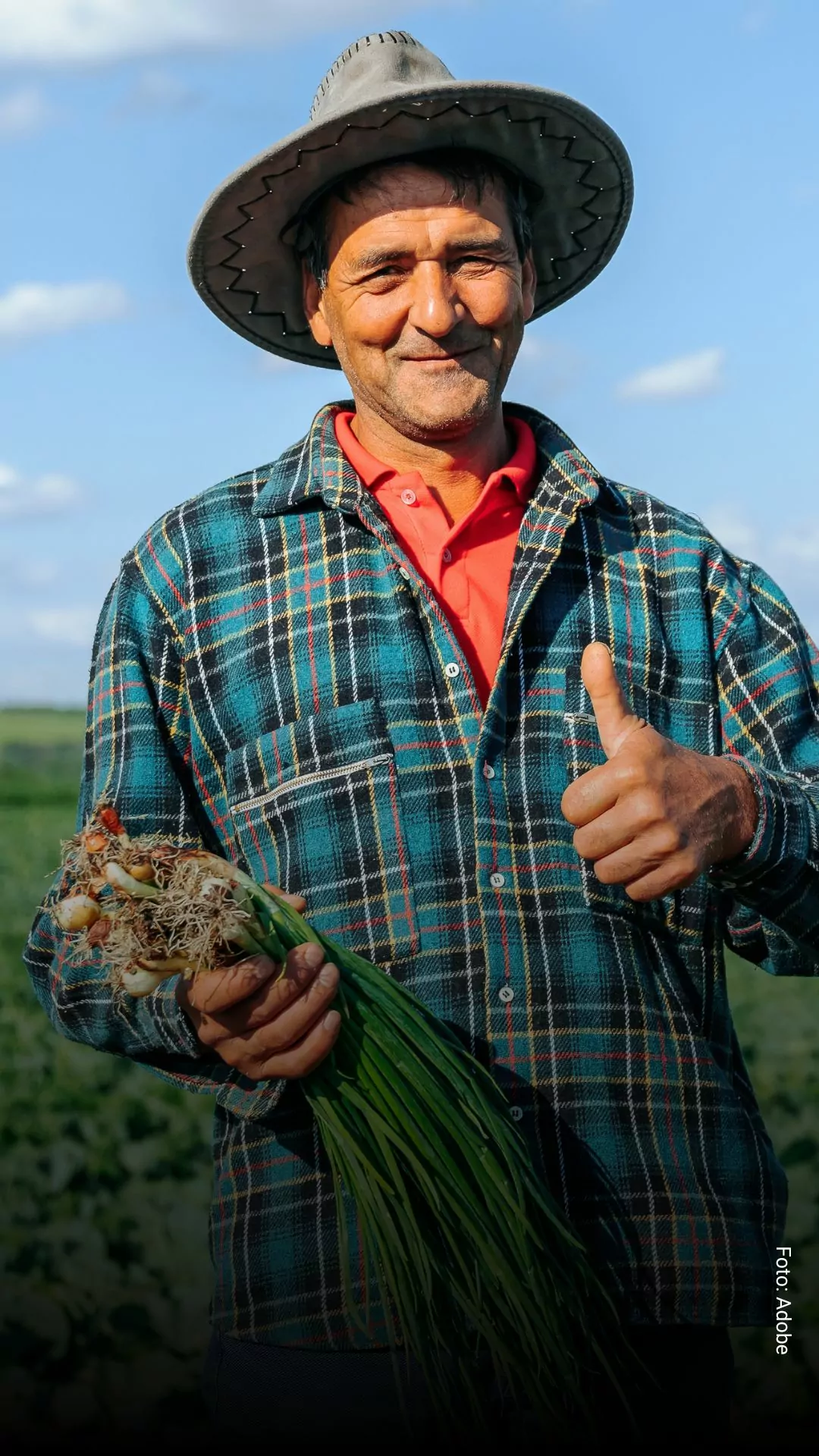 Imagem principal sobre o Imposto de Renda 2025: Você exerce atividade rural? Esse é o novo valor obrigatório para declarar o IR