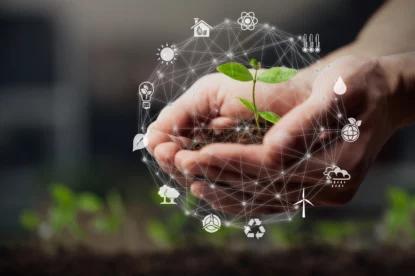 Muda de árvore nas mãos de uma pessoa, representando ETFs sustentáveis com alta rentabilidade em 2025.