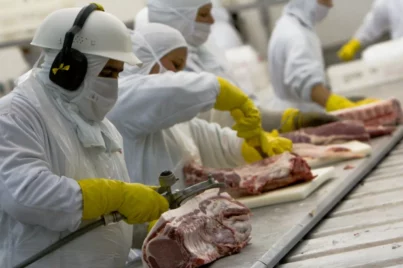 Cotas da China derrubam ações de frigoríficos, mas reação do mercado foi exagerada; entenda por quê