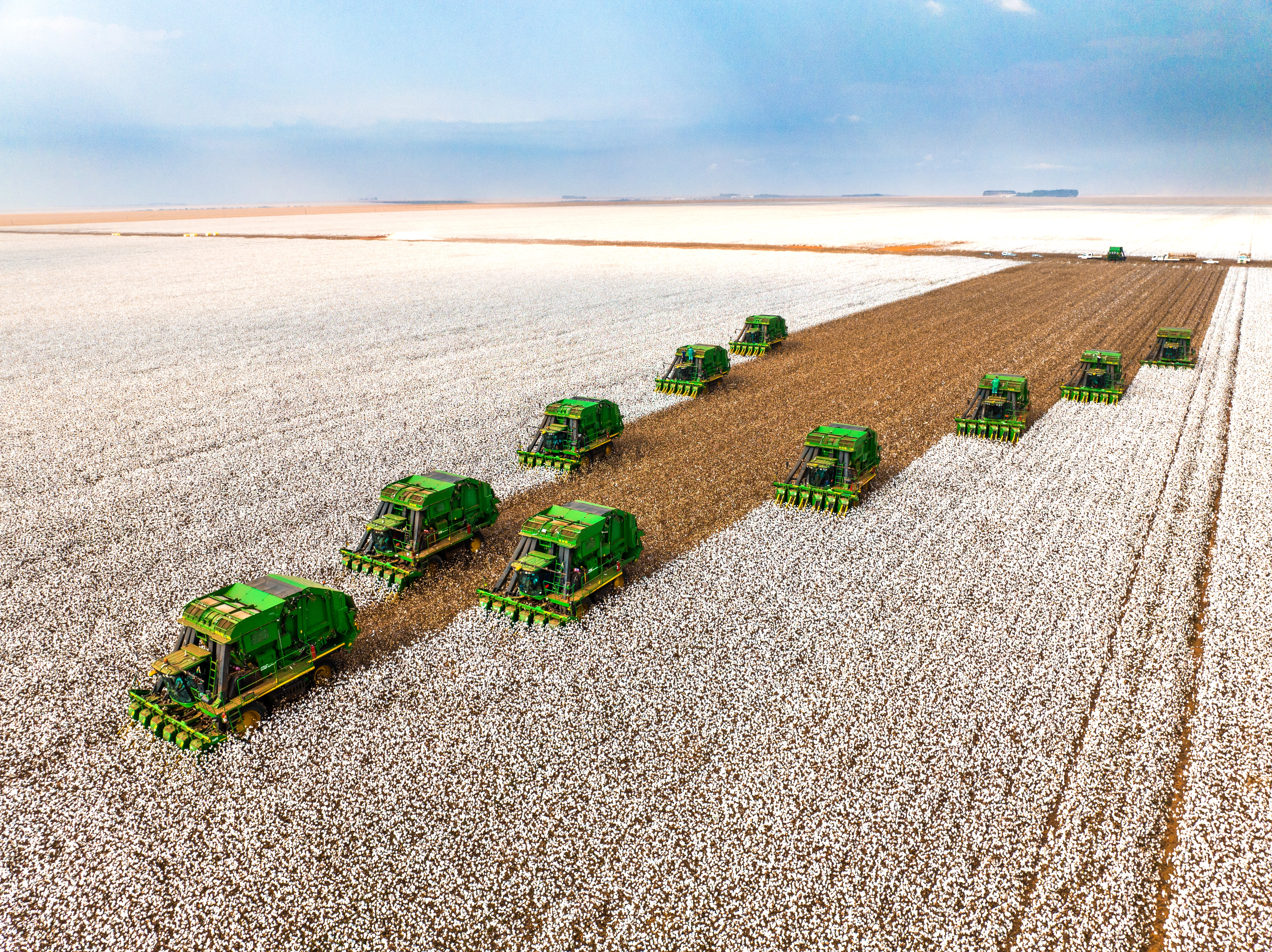 SLC Agrícola (SLCE3): com a benção de Barsi, o agro seduz os caçadores de dividendos. Vale a pena entrar?