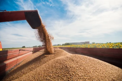 B3 movimenta R$ 6 bilhões em CPRs para pessoa física, com 26 mil investidores e 4 milhões de títulos