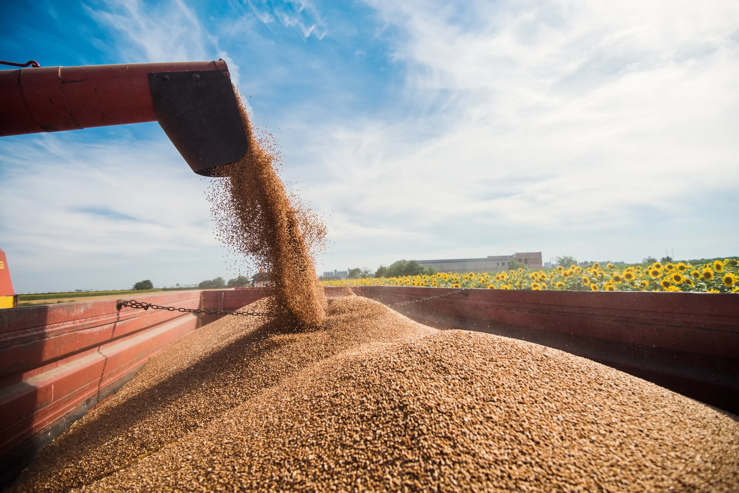 B3 movimenta R$ 6 bilhões em CPRs para pessoa física, com 26 mil investidores e 4 milhões de títulos