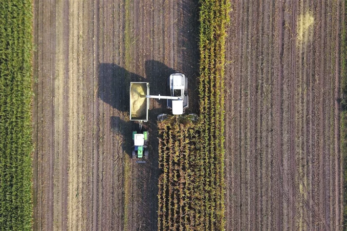 Boa Safra (SOJA3) tem preju&iacute;zo de R$8,4 milh&otilde;es no 4T25. (Foto: Adobe Stock)