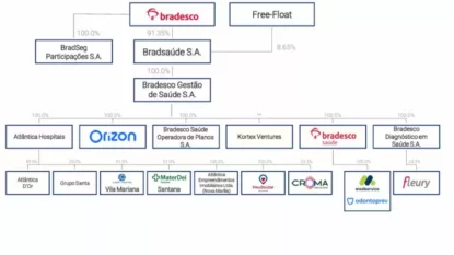 Estrutura acionária final da Bradsaúde elaborada pela XP Investimentos.