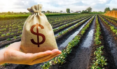 O agro é um dos pilares centrais da evolução da economia  e precisamos observá-lo de perto