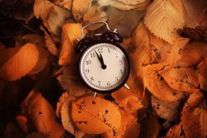 Resultado da Quina 6974: COMEÇA NO HORÁRIO ALTERADO; veja quando saem os cinco números da sorte