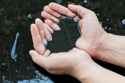 Cessar-fogo no Oriente Médio derruba petróleo e acende rotação na Bolsa; analistas recomendam “colocar lucro no bolso”