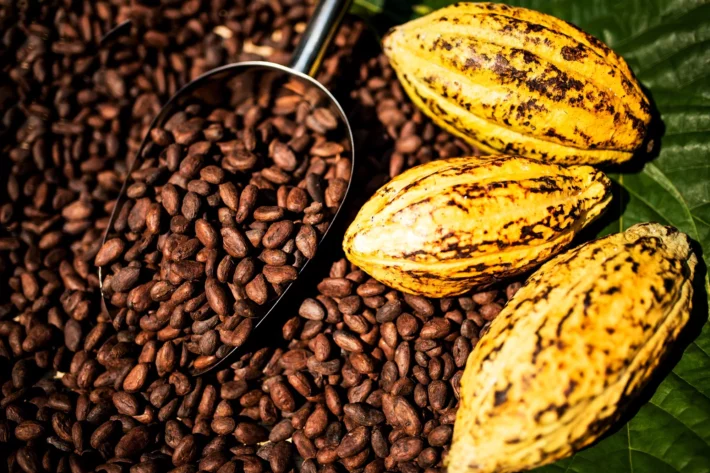 Pre&ccedil;os do chocolate sobem nesta P&aacute;scoa, mesmo com queda recente do cacau no mercado internacional (Foto: Adobe Stock)