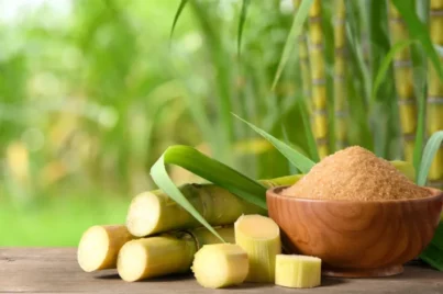 Trade do dia: analistas recomendam ações da Jalles (JALL3) para 9,81% de lucro nesta quinta-feira (30)