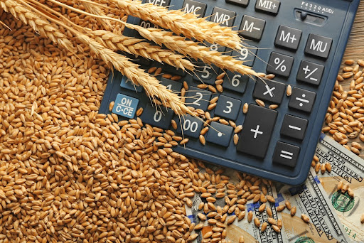 SLC Agrícola se beneficia dos altos preços de grãos, diz corretora