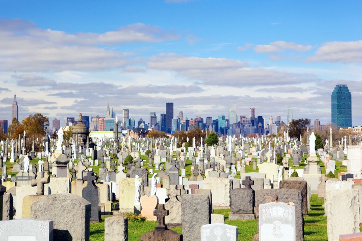 CARE11: vale a pena investir no setor funerário?